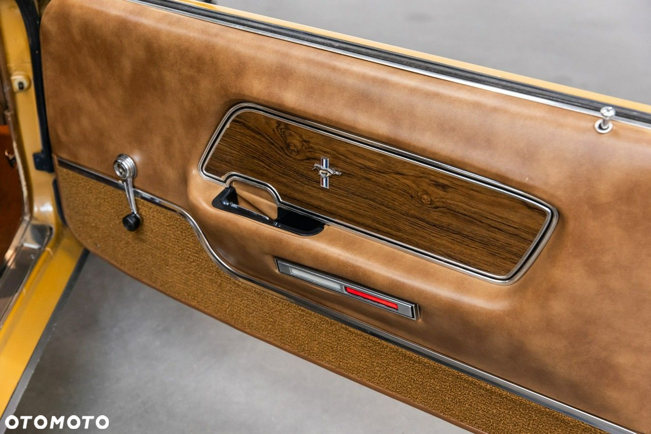 Ford Mustang - 38
