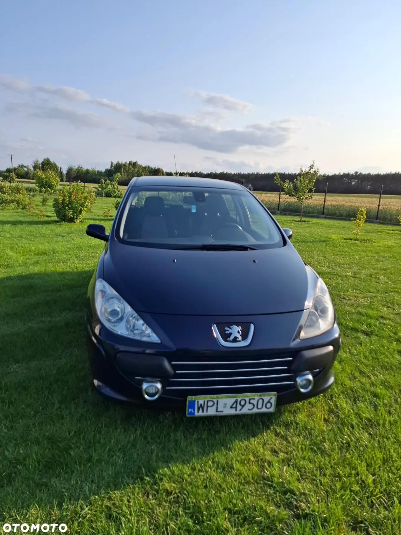 Peugeot 307 1.6 Oxygo - 13