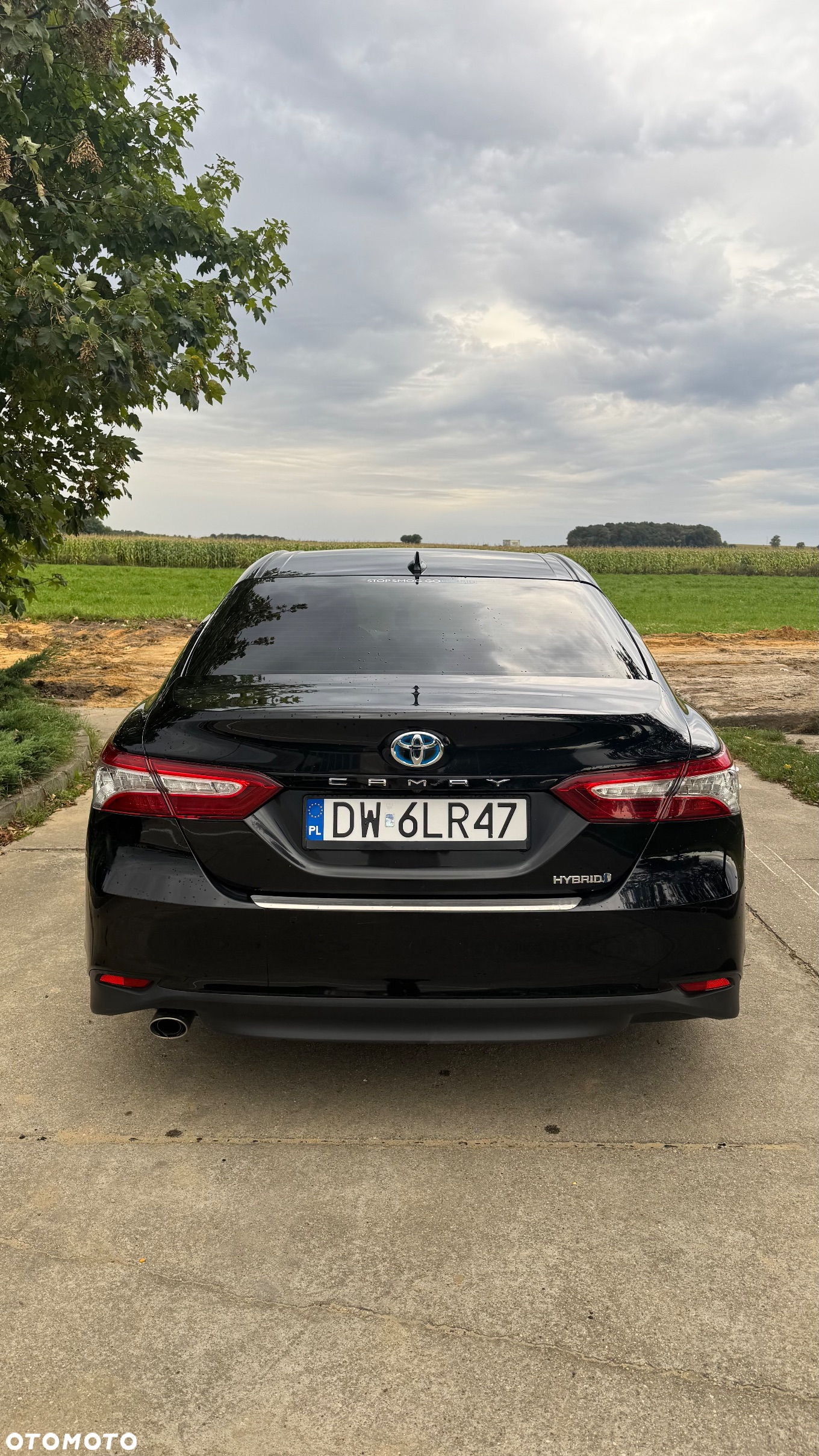 Toyota Camry 2.5 Hybrid Executive CVT - 2