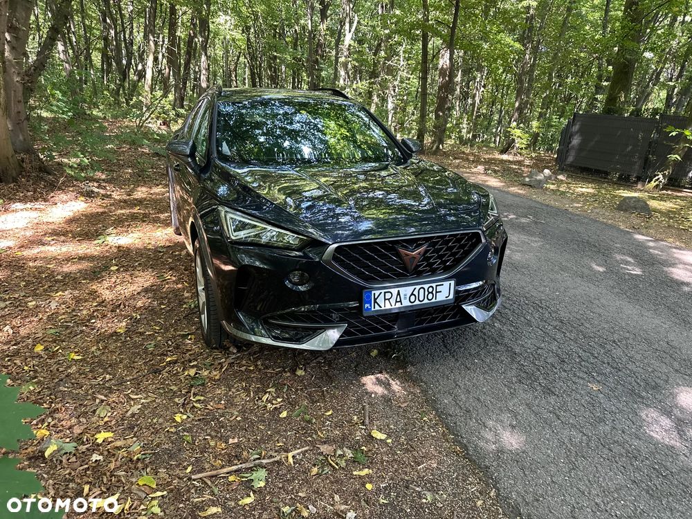 Cupra Formentor 1.5 TSI DSG Tribe Edition - 14