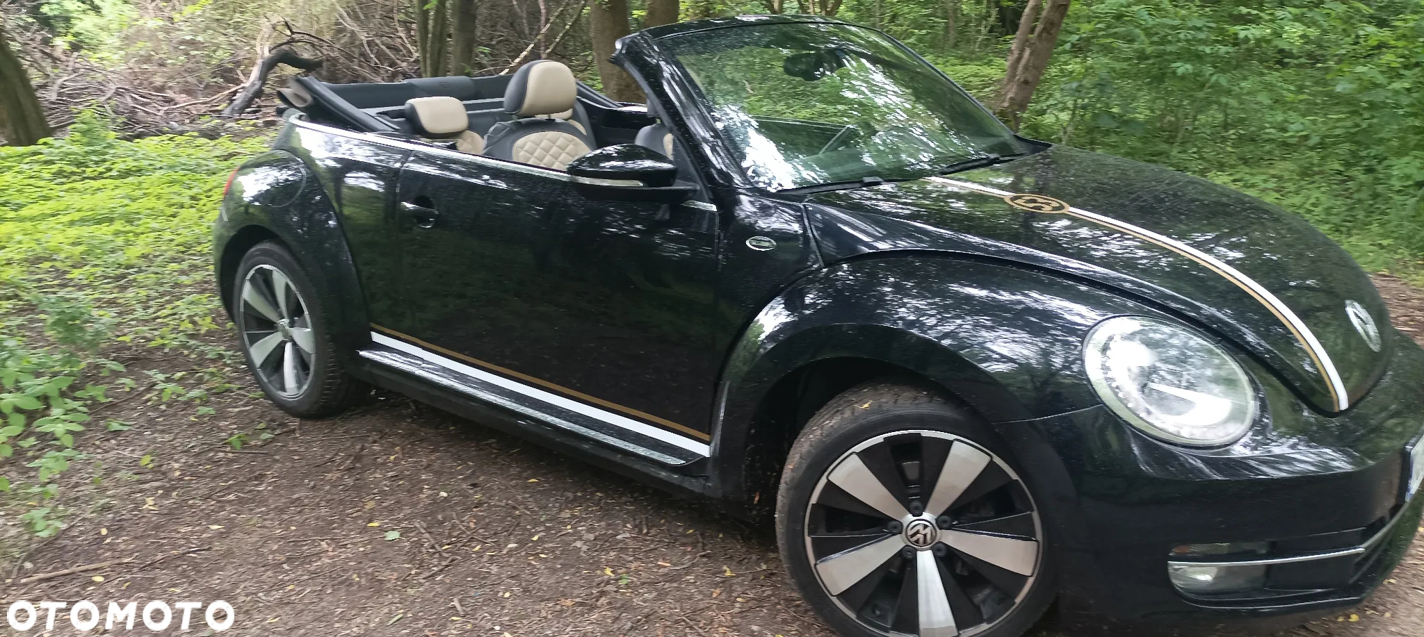 Volkswagen Beetle The Cabriolet 1.2 TSI (BlueMotion Tech) - 30