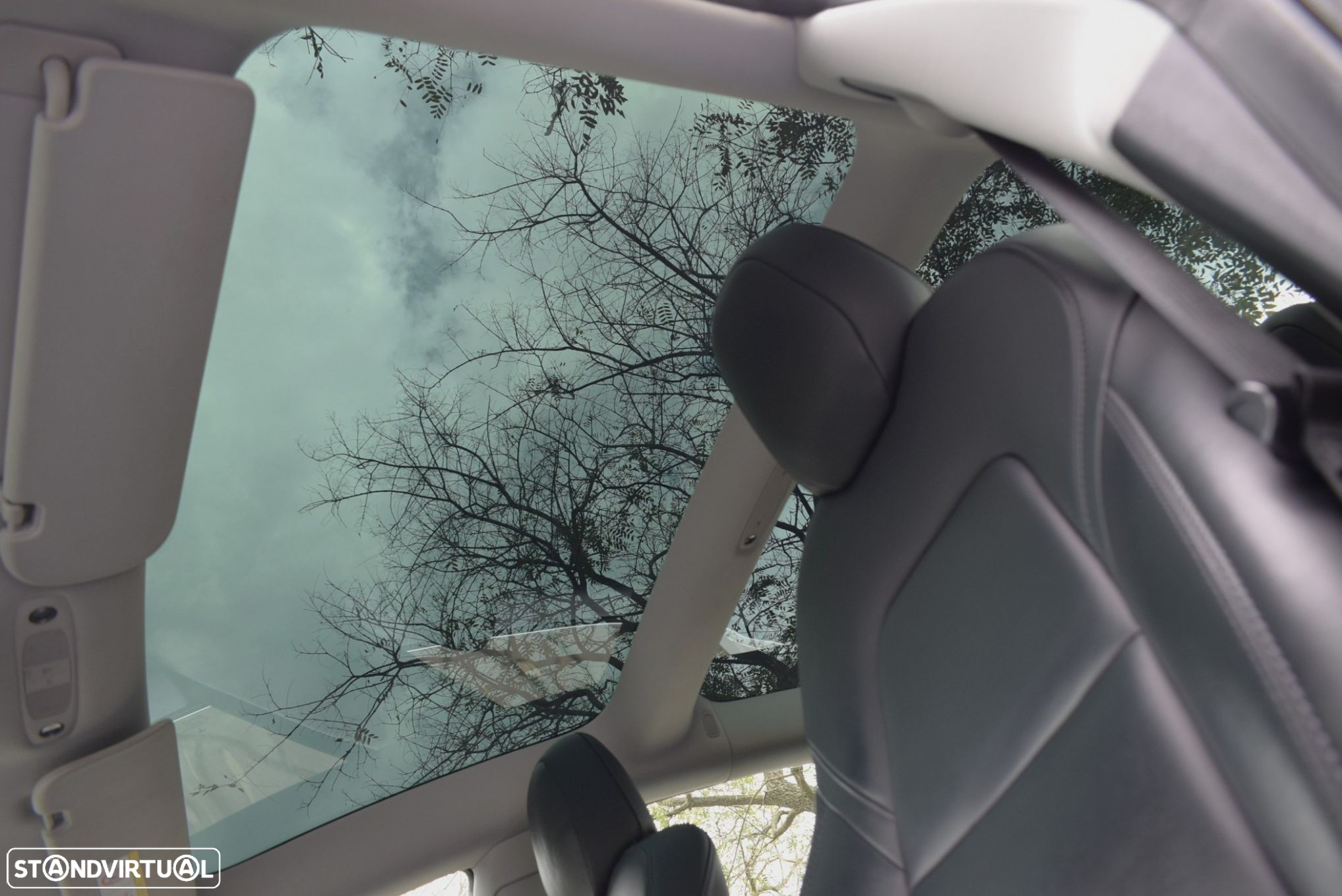 Tesla Model 3 Standard RWD Plus - 6