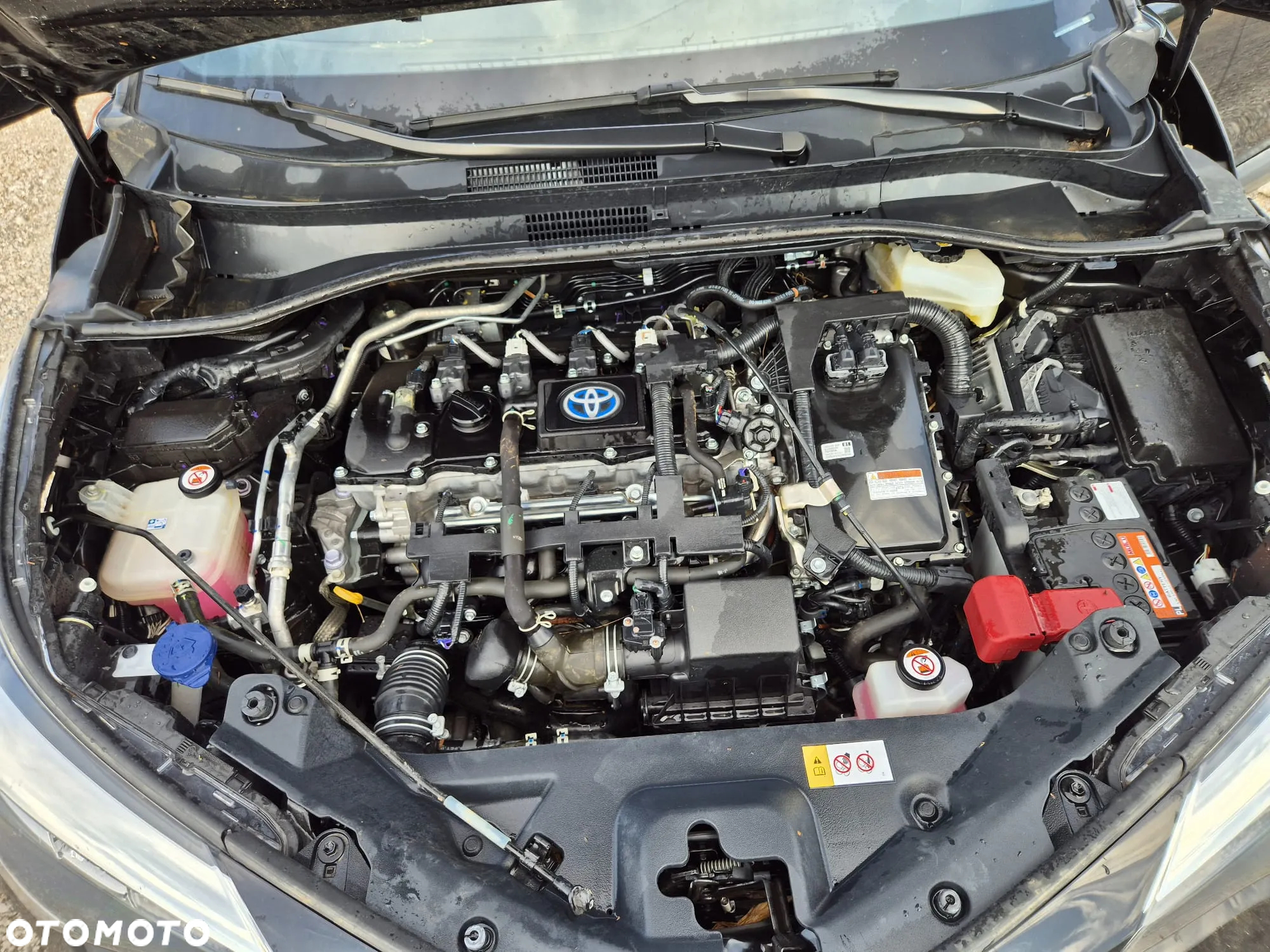 Toyota C-HR 1.8 Hybrid Business Edition - 21