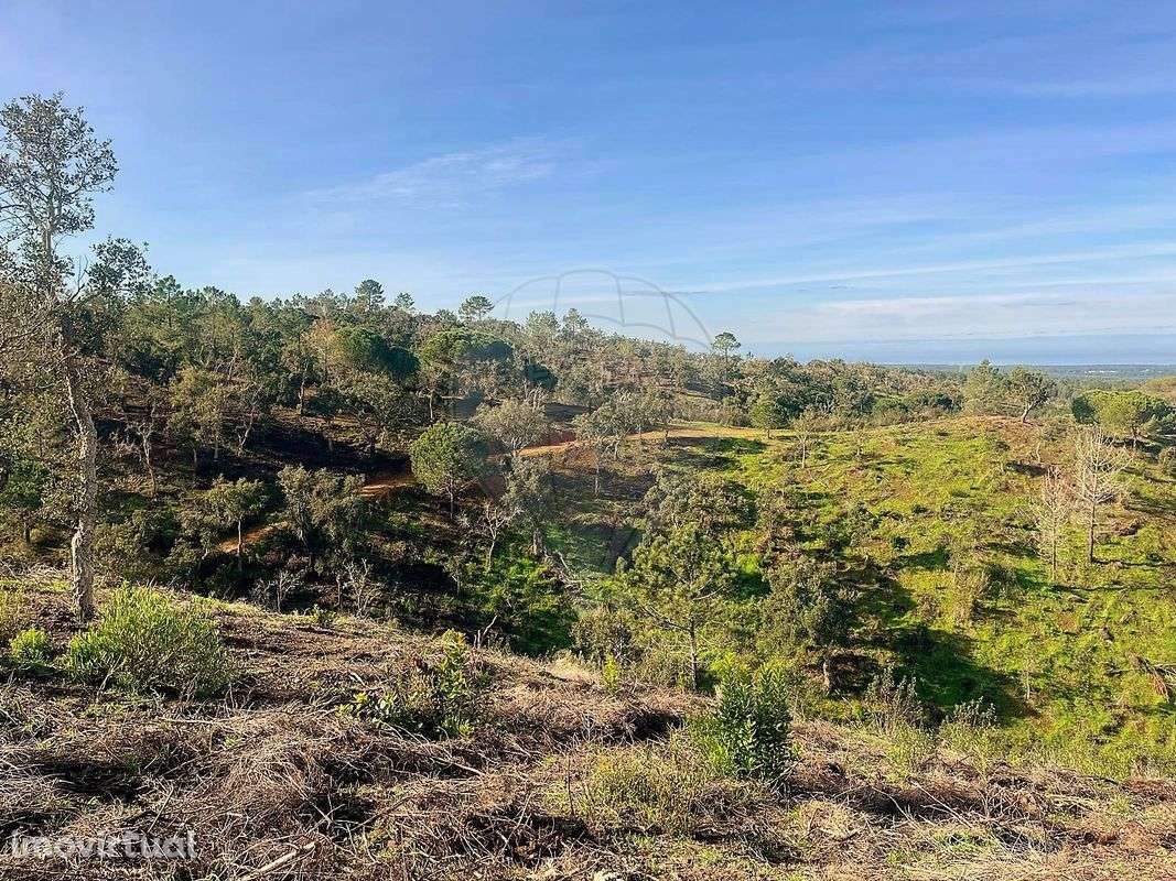 Terreno  para venda - Grande imagem: 4/8