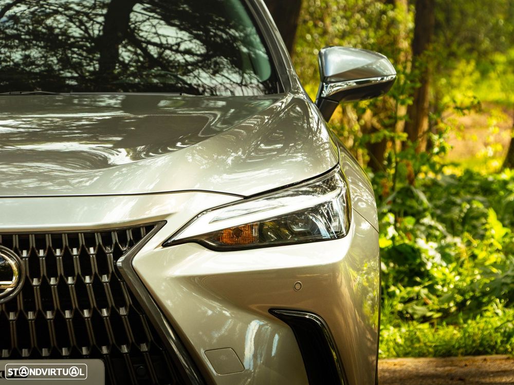 Lexus NX 350h Executive+ - 22