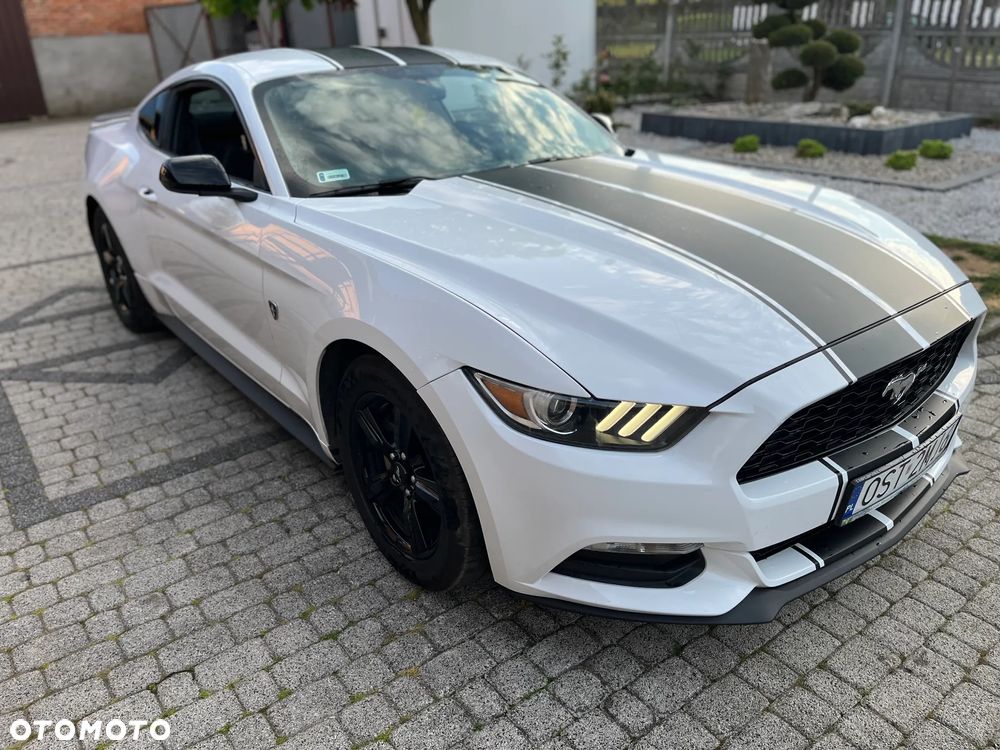 Ford Mustang 3.7 V6 - 1