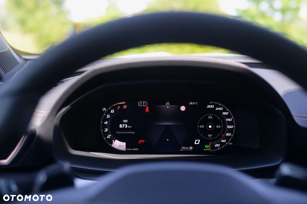 Cupra Formentor 2.0 TSI 4Drive DSG - 14