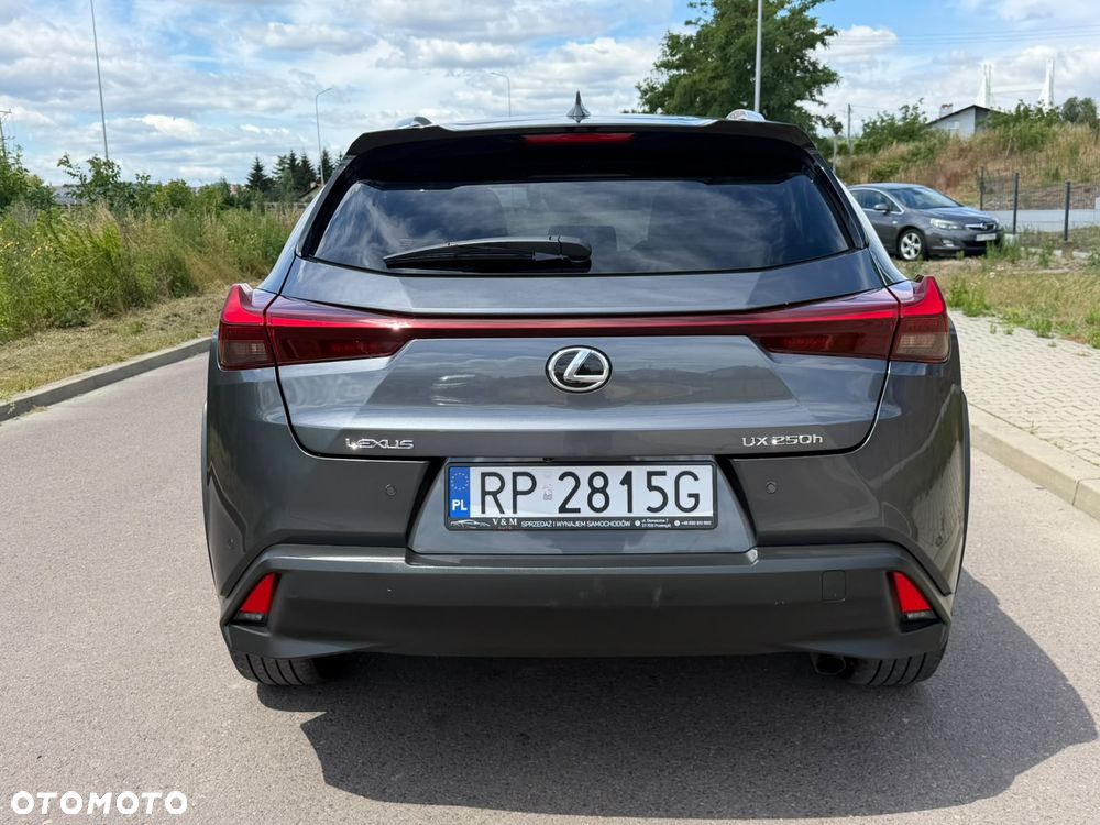Lexus UX 250h - 10