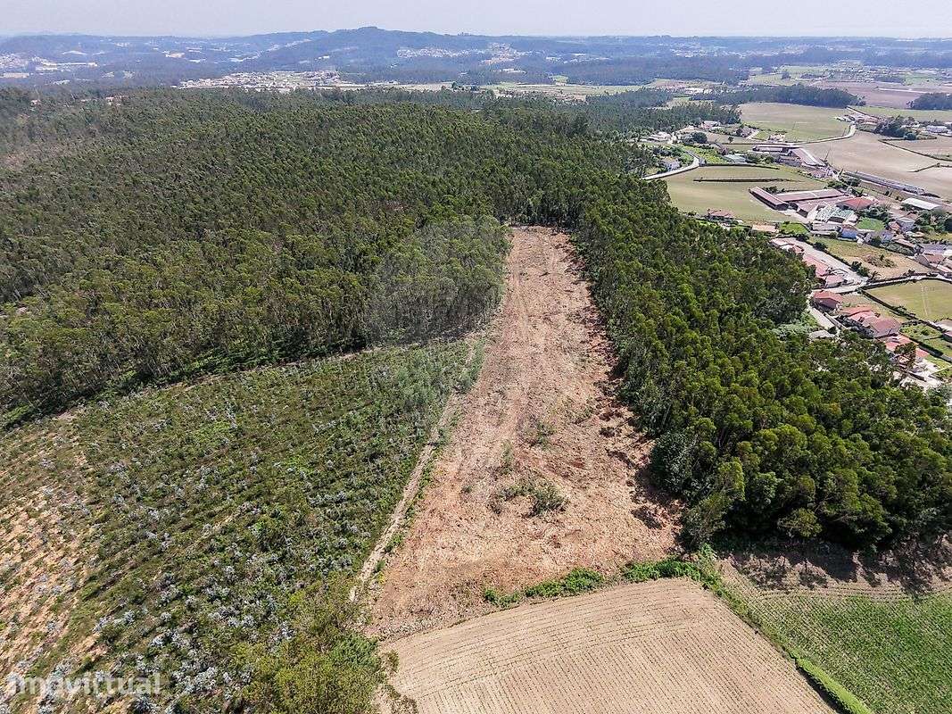 Terreno  para venda - Grande imagem: 4/7