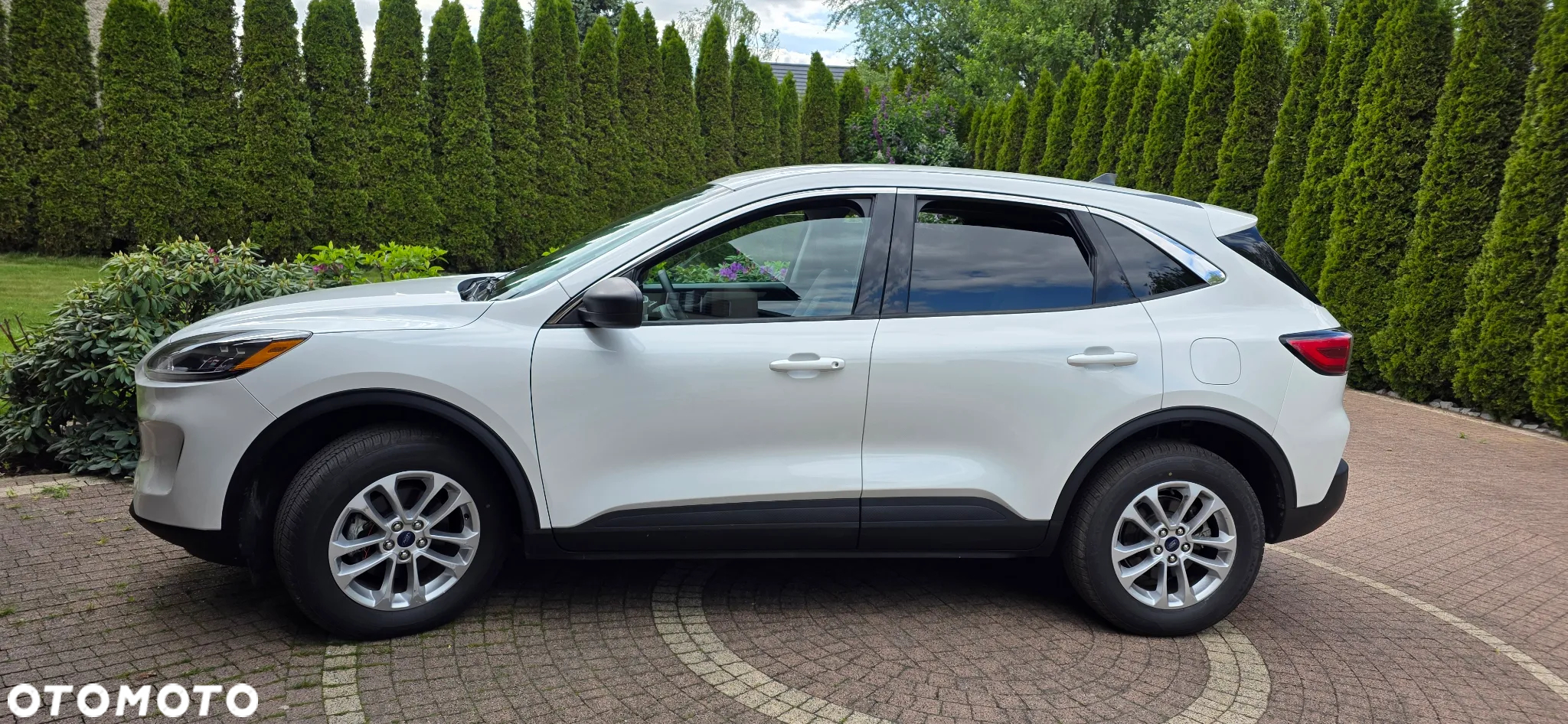 Ford Escape 1.5 EcoBoost AWD SE - 6
