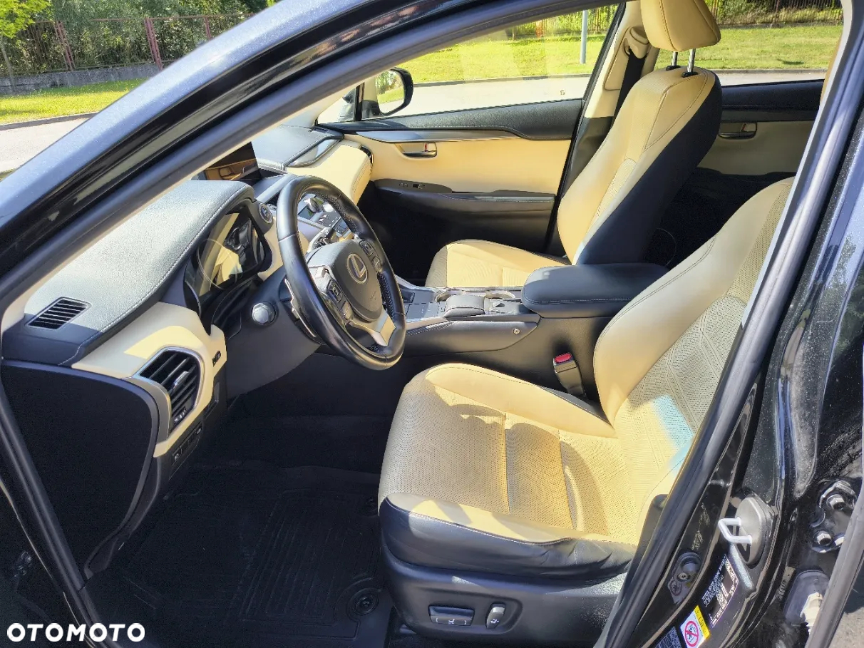 Lexus NX - 12