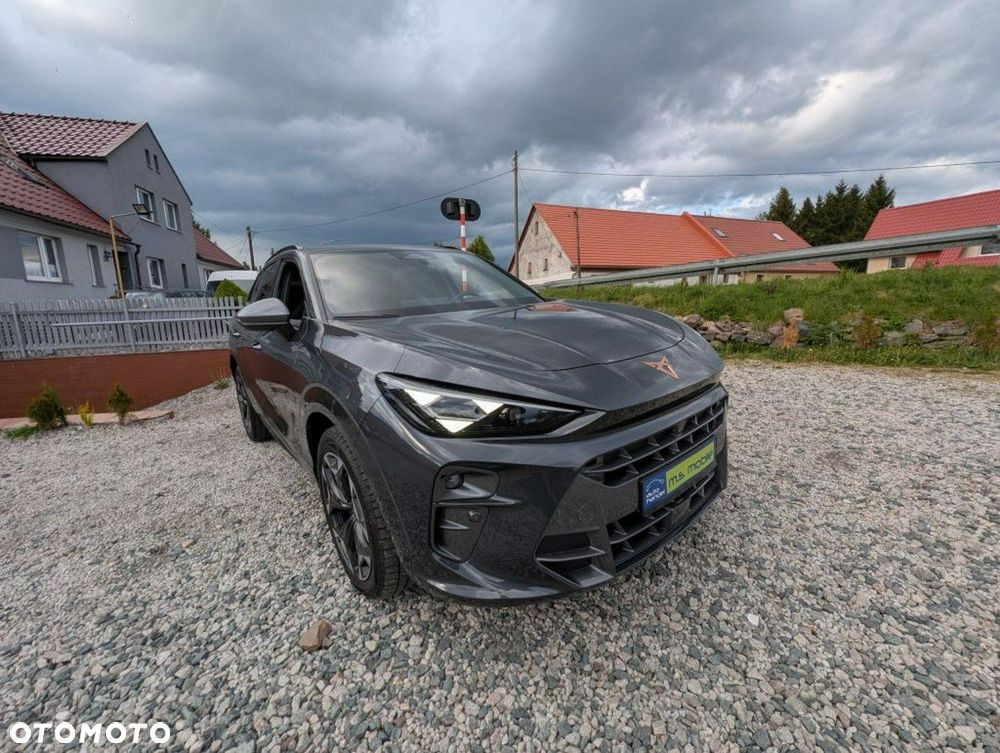 Cupra Terramar - 2