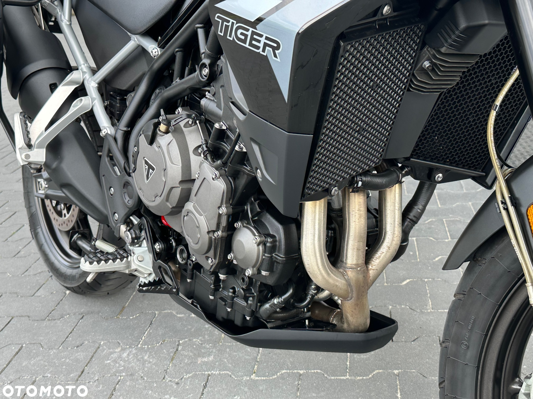 Triumph Tiger - 18