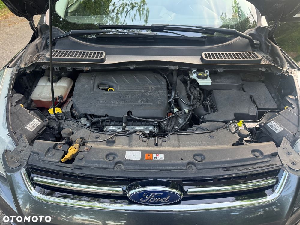 Ford Kuga 1.5 EcoBoost FWD Titanium Plus ASS - 3