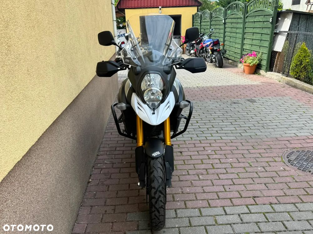 Suzuki DL - 10
