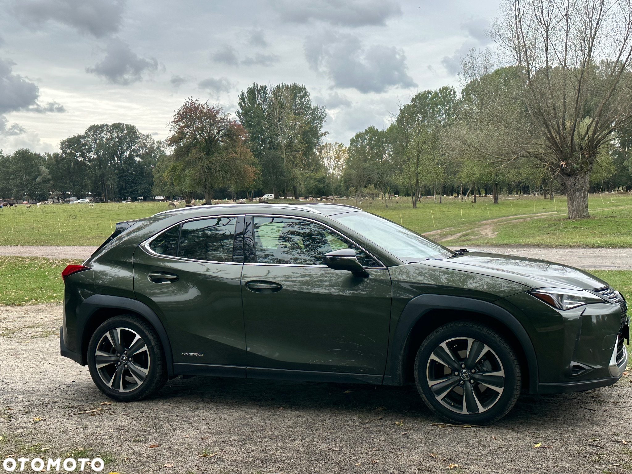 Lexus UX 250h GPF Prestige AWD - 3
