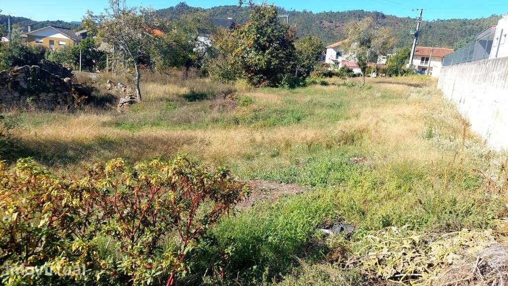 Terreno c/ moradia em Ruínas - Donim - Grande imagem: 4/5