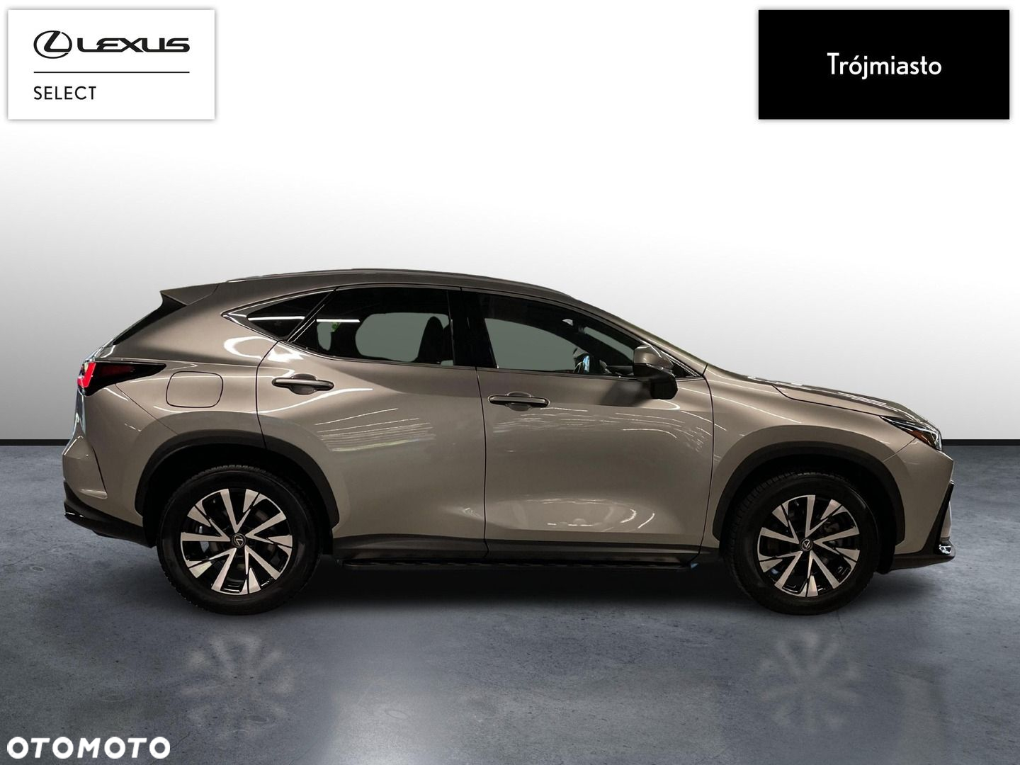 Lexus NX - 5