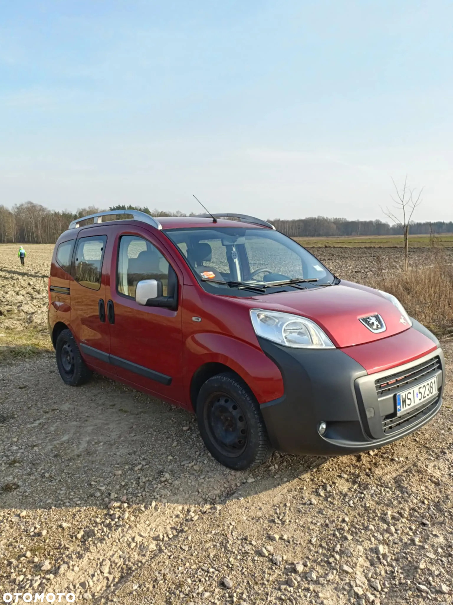 Peugeot Bipper Tepee 1.4 Presence - 2