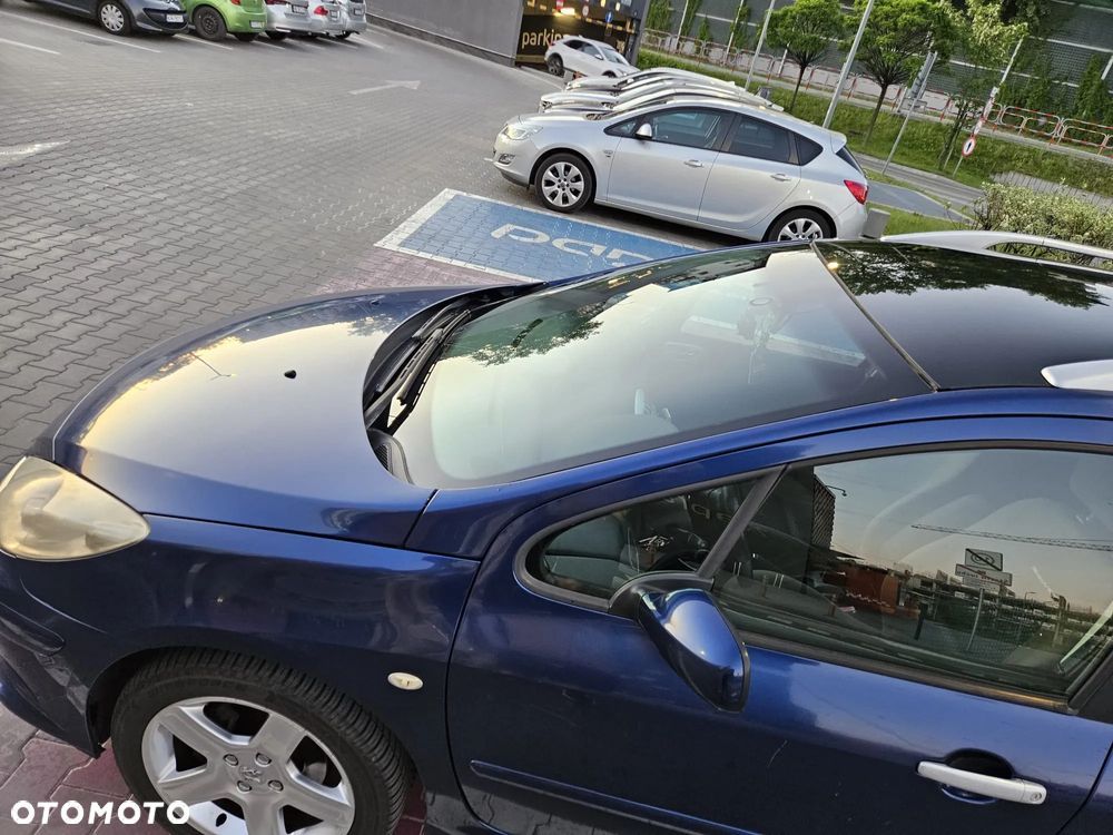 Peugeot 307 2.0 - 17