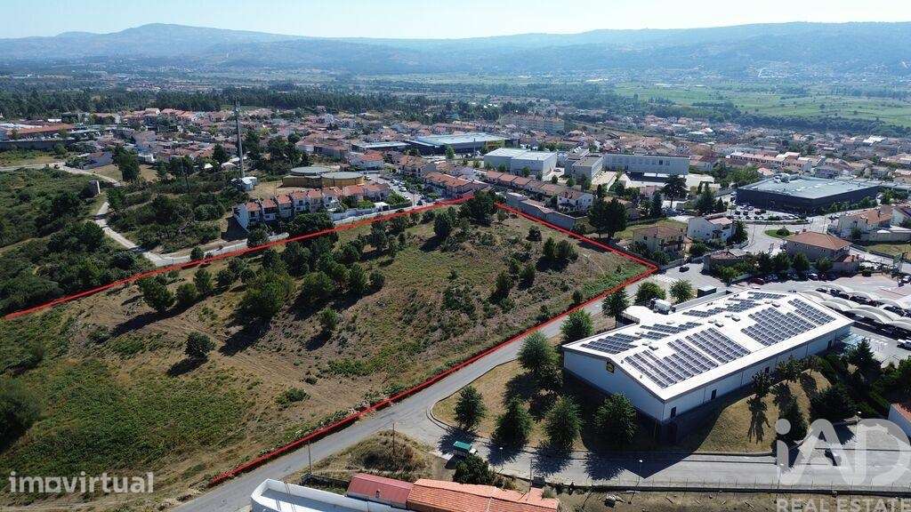 Terreno em Santa Cruz/Trindade E Sanjurge de 40925,00 m2 - Grande imagem: 3/13