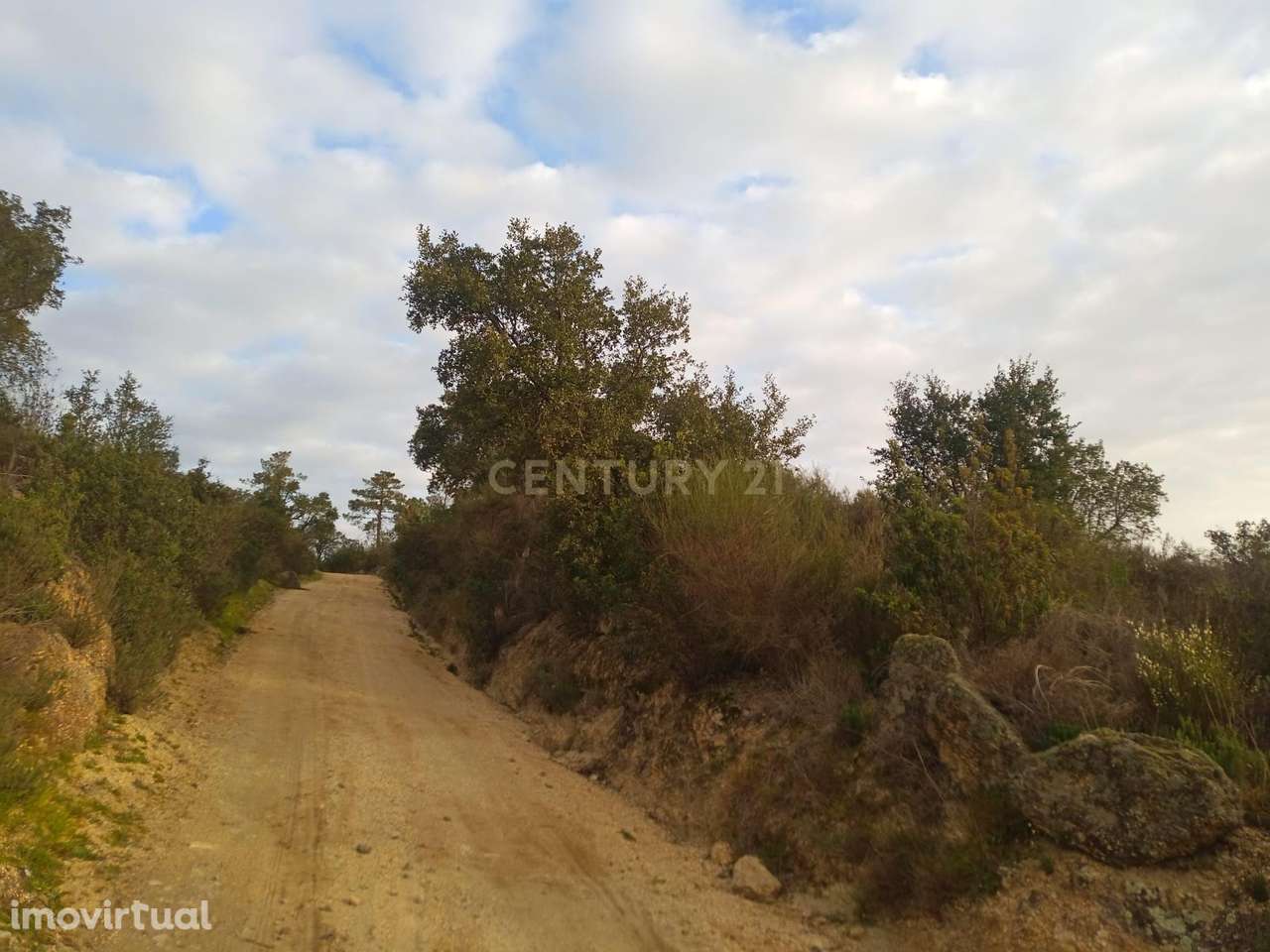 Terreno rustico em Palvarinho - Grande imagem: 3/6