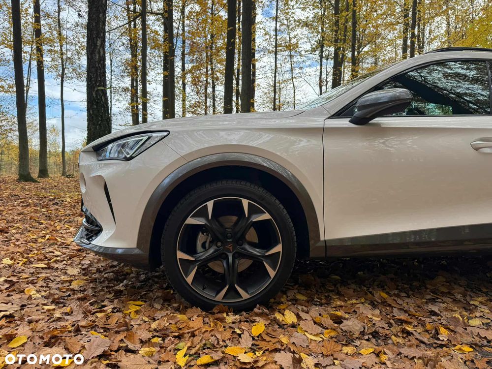 Cupra Formentor 1.5 TSI DSG - 15