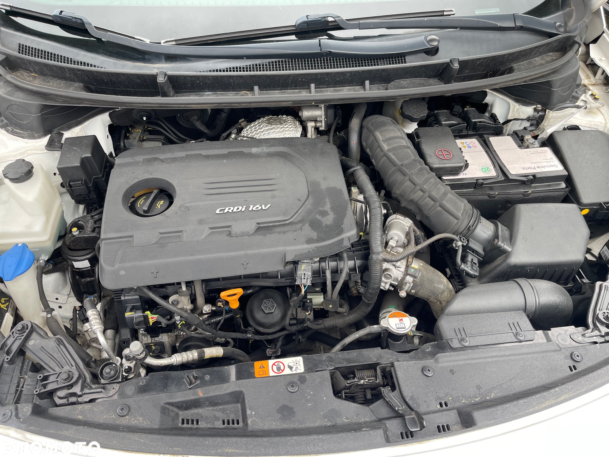 Hyundai i30 1.6 CRDi BlueDrive Premium DCT - 19