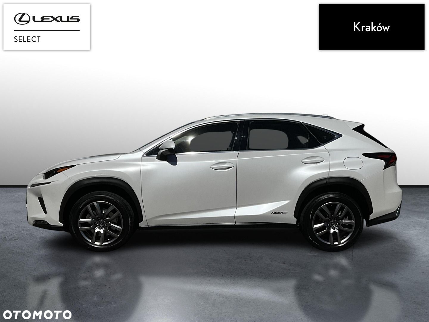 Lexus NX 300h Business Edition AWD - 2