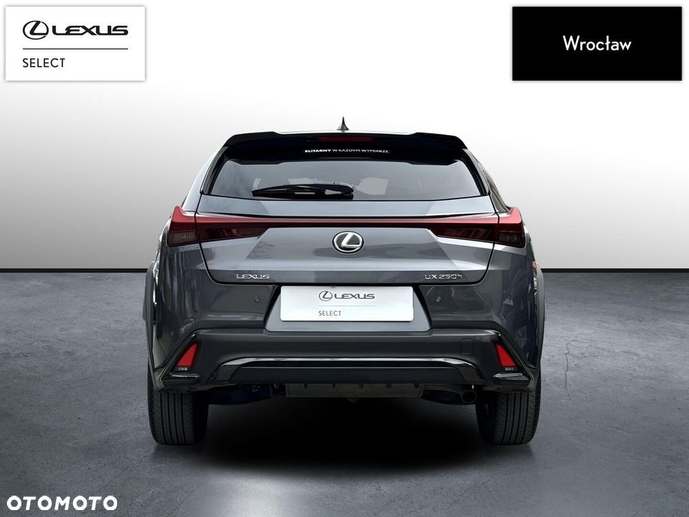 Lexus UX 250h GPF F Sport Design 2WD - 5