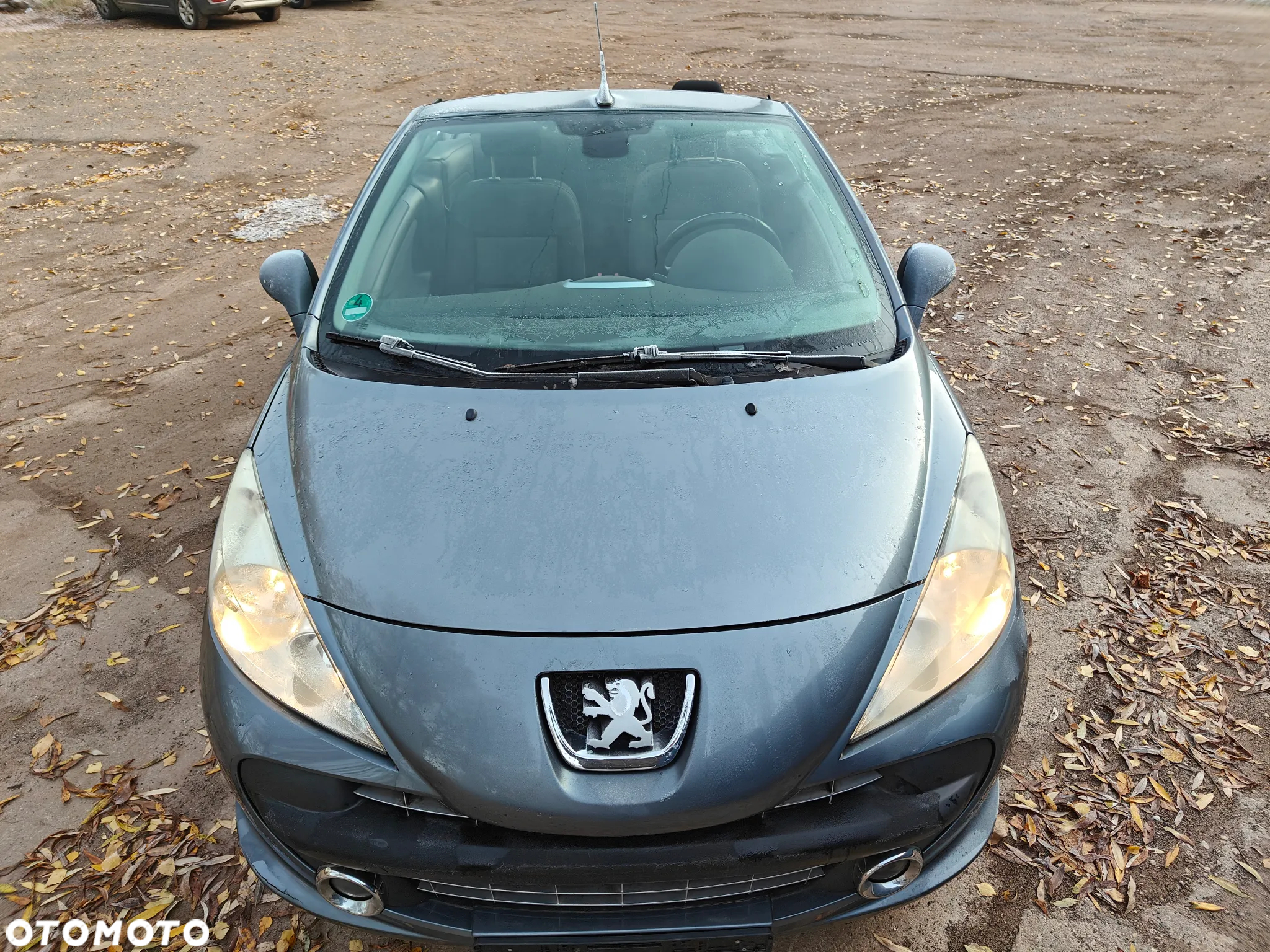 Peugeot 207 120 Premium - 6