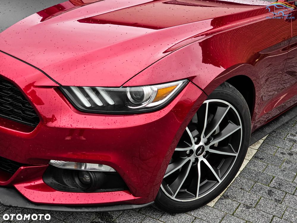 Ford Mustang - 6