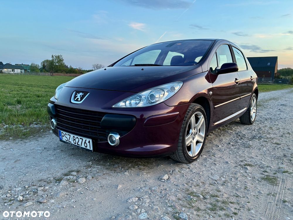 Peugeot 307 2.0 XT - 3