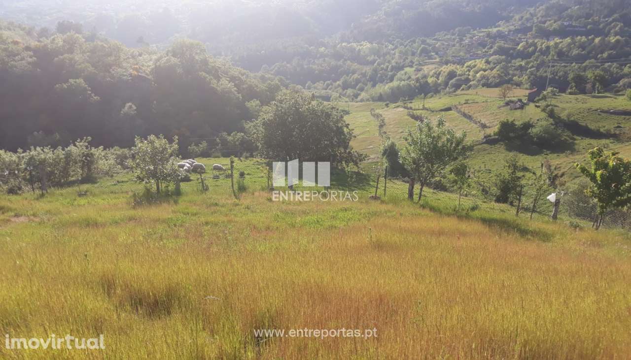 Venda Terreno, Loivos do Monte, Baião - Grande imagem: 3/6
