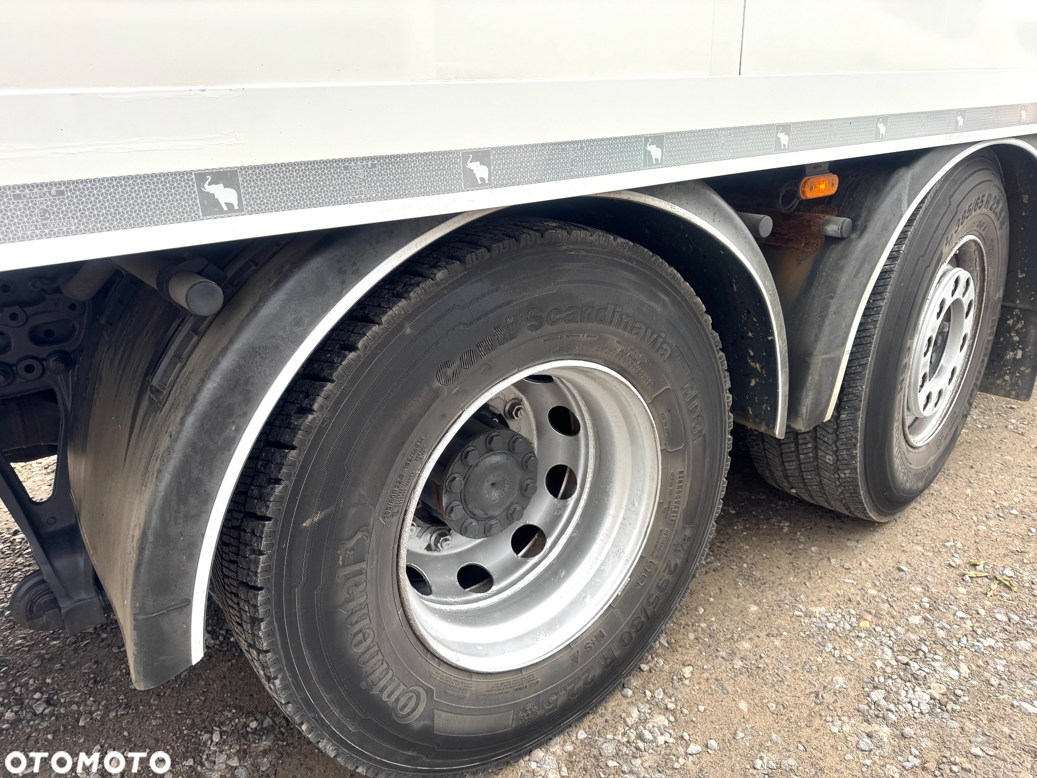 Mercedes-Benz ANTOS 2545 / CHŁODNIA CARRIER SUPRA 850 / RETARDER / WINDA - 11