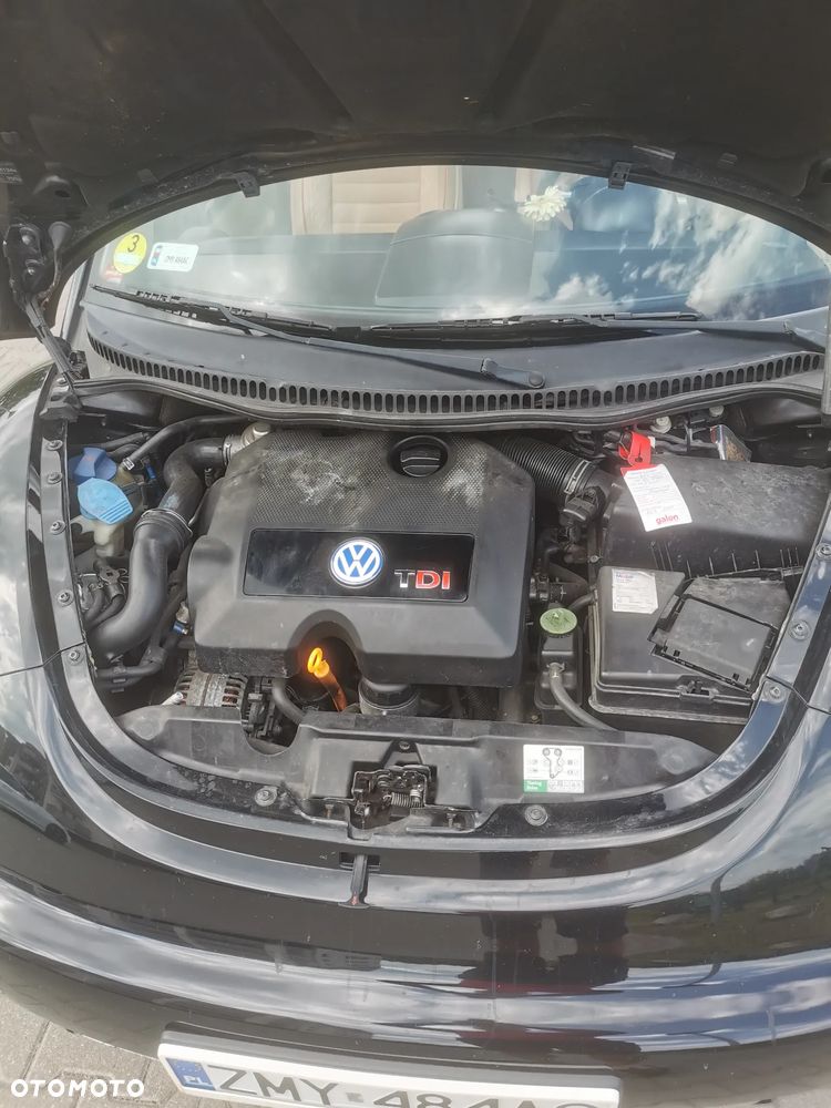Volkswagen New Beetle - 8