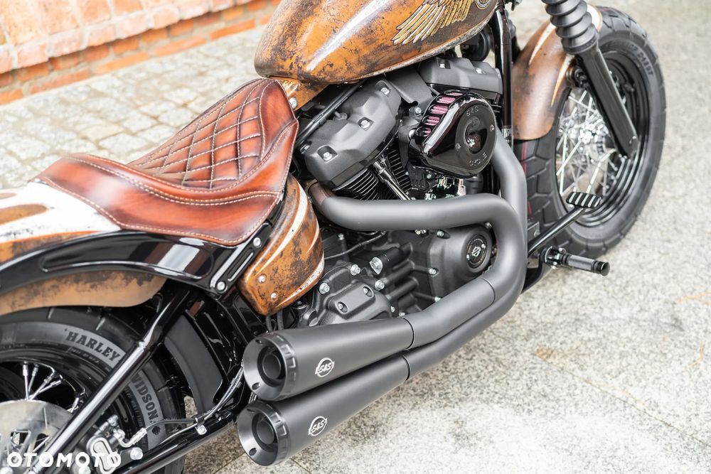 Harley-Davidson Softail - 29