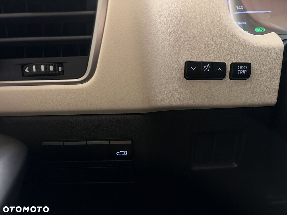 Lexus NX 300h Comfort AWD - 20