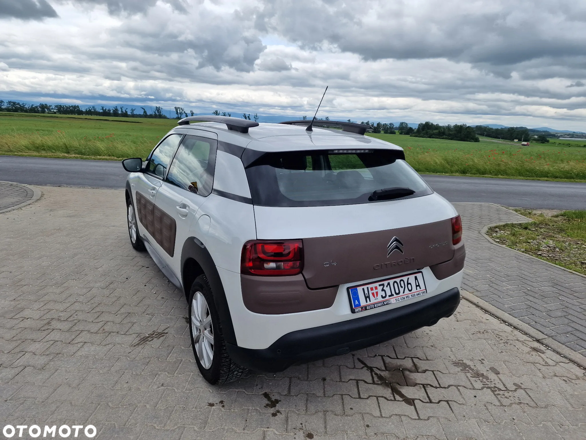 Citroën C4 Cactus 1.2 PureTech Shine Edition - 13