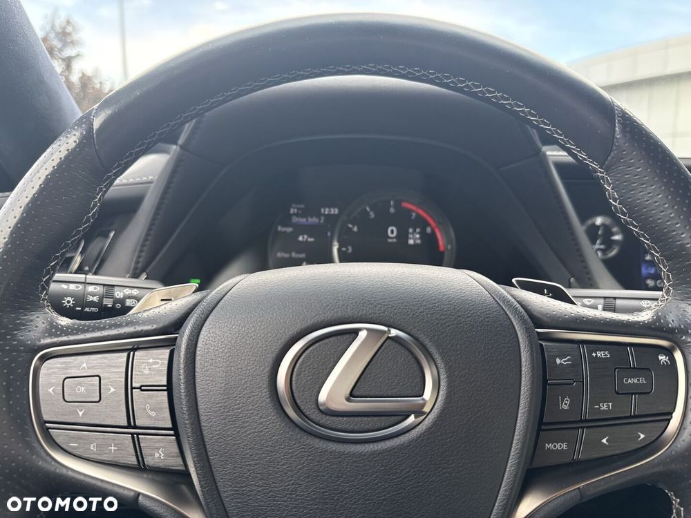 Lexus LS 500 F Sport AWD - 17