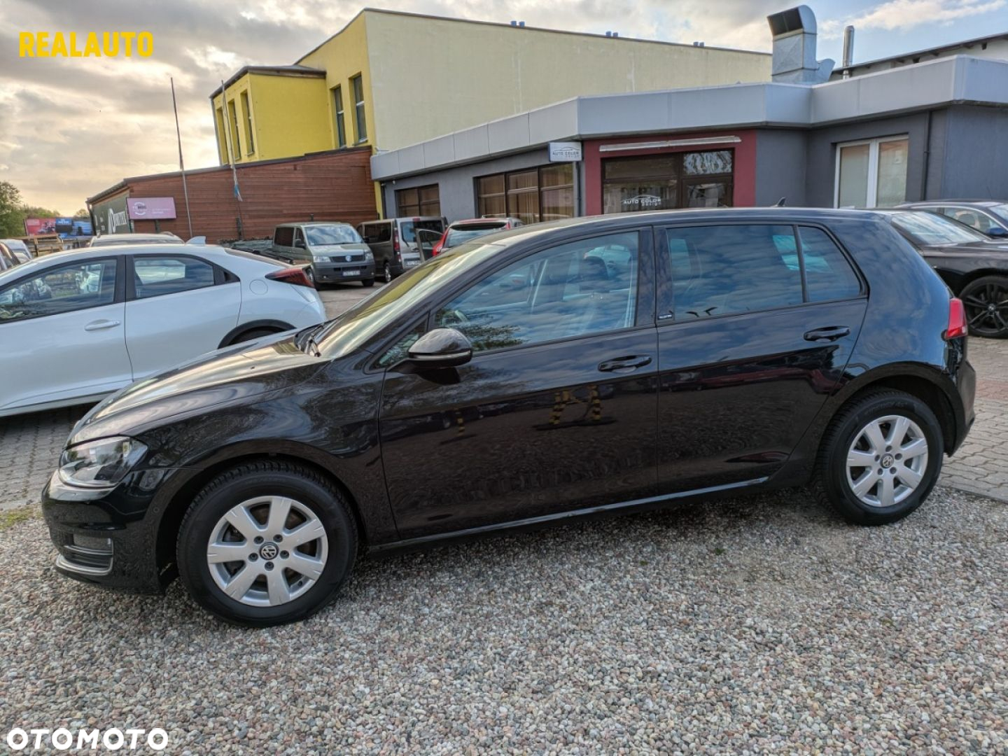 Volkswagen Golf - 15