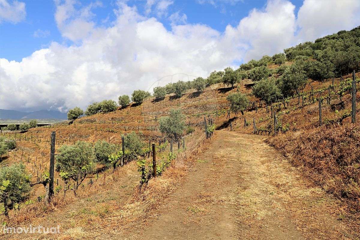 Terreno  para venda - Grande imagem: 4/22