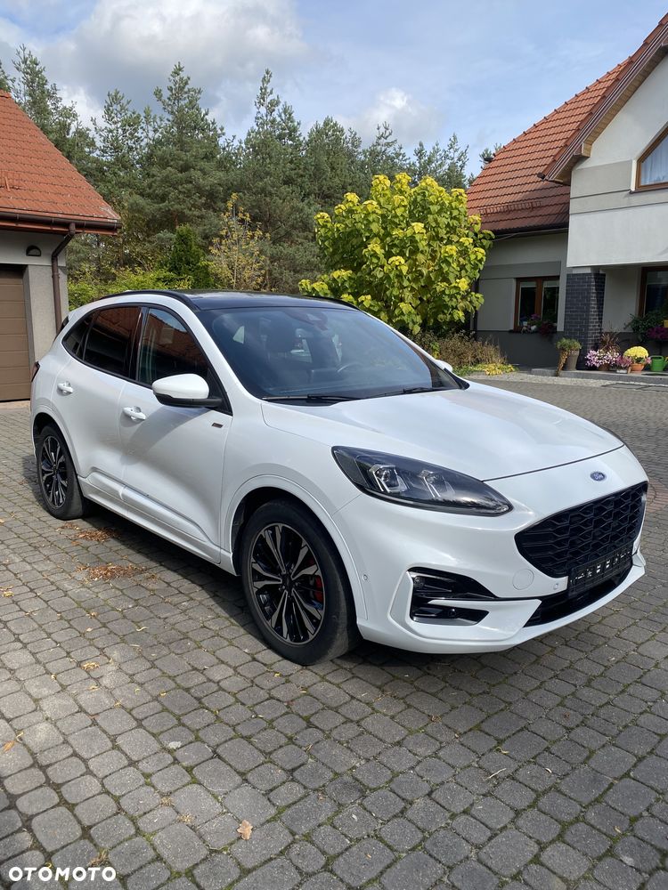 Ford Kuga 2020 photo 4