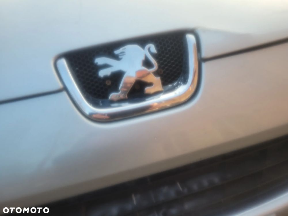 Peugeot 407 HDi 135 - 31