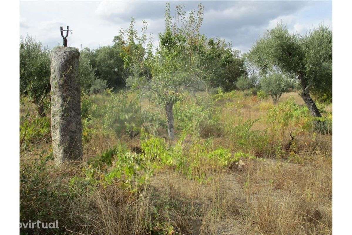 Quinta T0 para venda - Grande imagem: 5/31