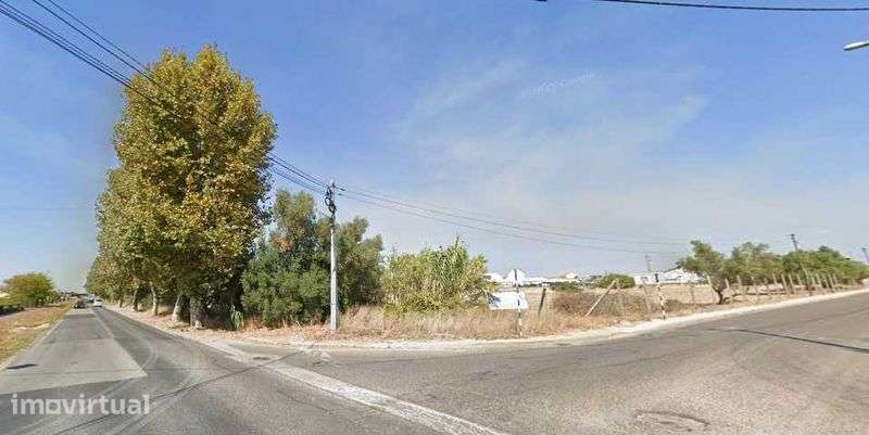 Terreno urbano junto a estrada nacional, no Montijo