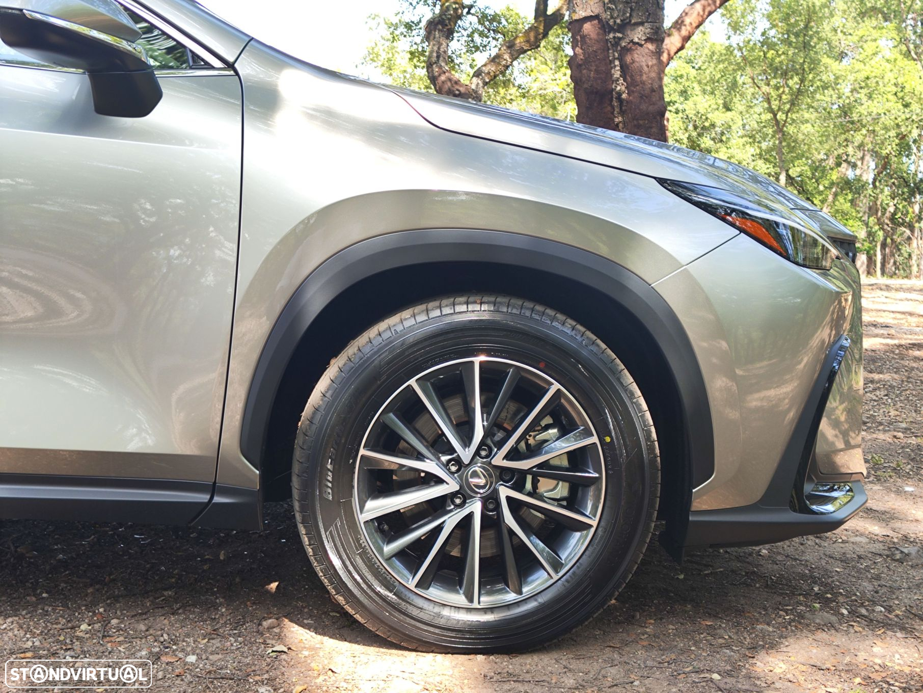 Lexus nx-450hplus - 26
