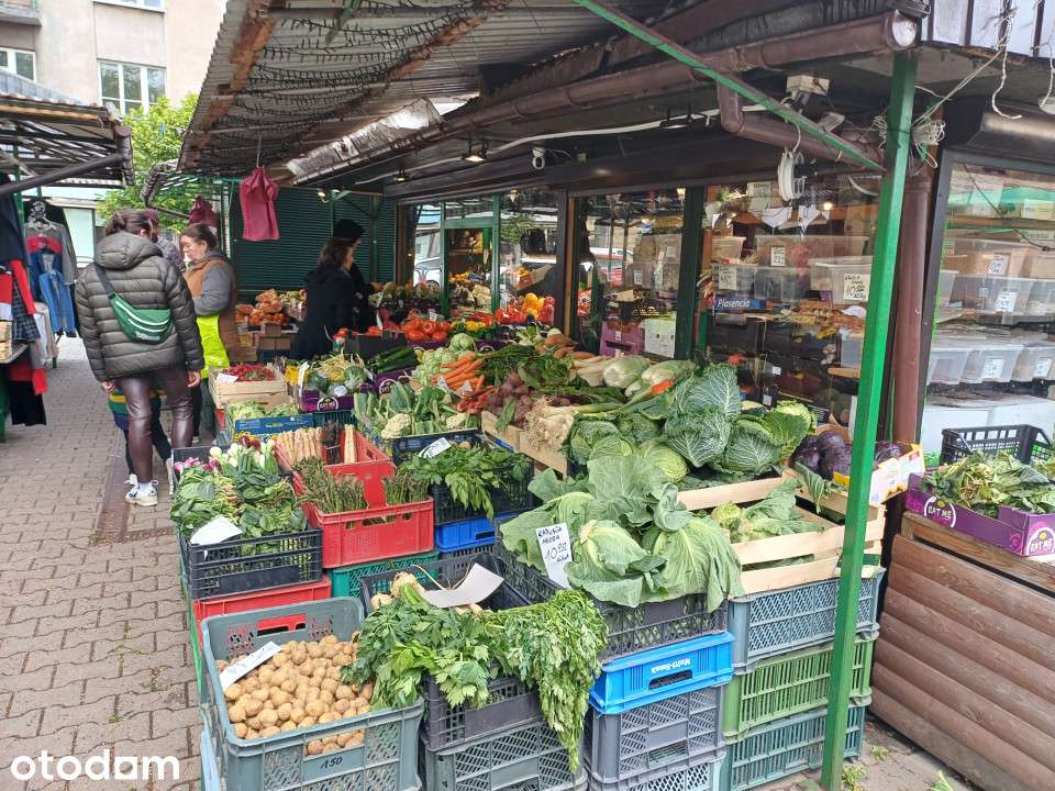 Jasne, nowoczesne i klimatyczne poddasze w sercu Krakowa