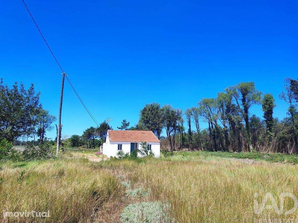 Casa / Villa T2 em Torreira de 136,00 m2 - Grande imagem: 3/12