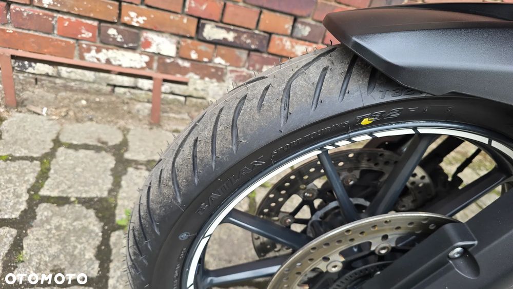 Triumph Tiger - 17